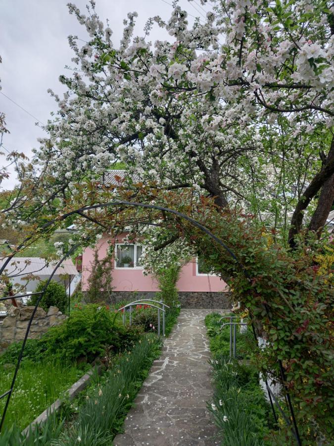 Лаванда Jaremtsche Exterior foto
