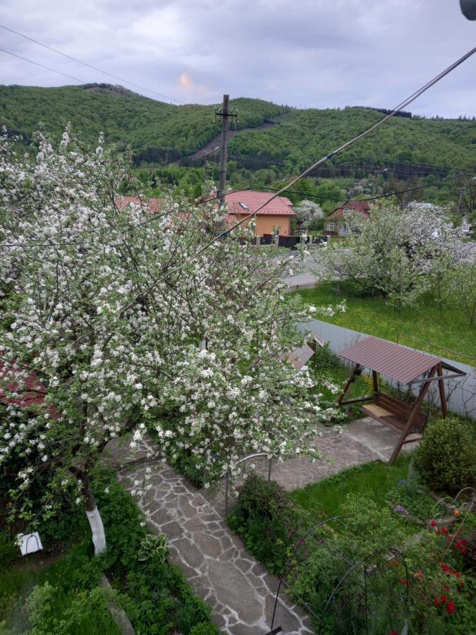 Ferienwohnung Лаванда Jaremtsche Exterior foto