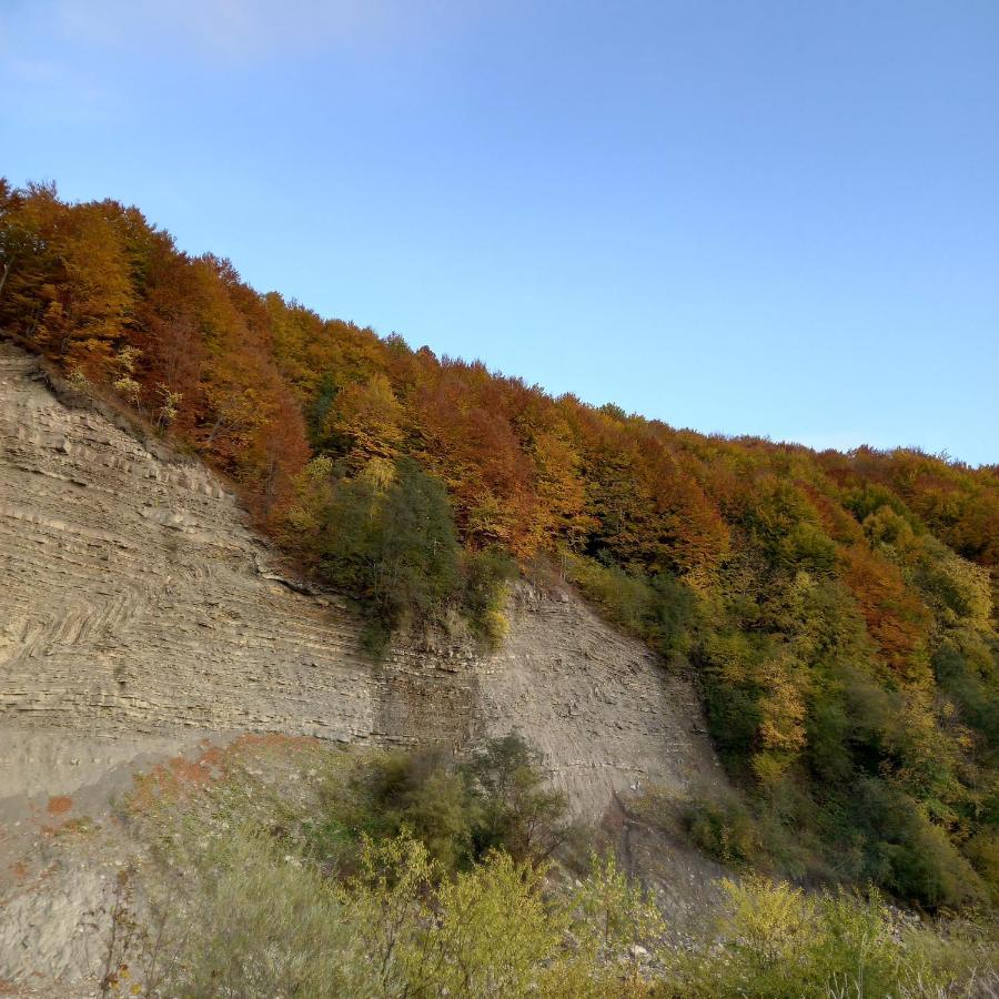 Лаванда Jaremtsche Exterior foto